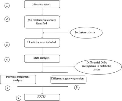 Using Integrative Analysis of DNA Methylation and Gene Expression Data in Multiple Tissue Types to Prioritize Candidate Genes for Drug Development in Obesity